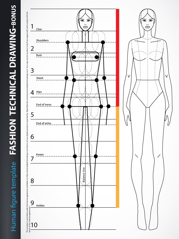 Fashion Technical Drawing Human Figure Front Back Lady Fashion Design